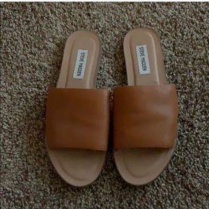Steve Madden Flat Sandals